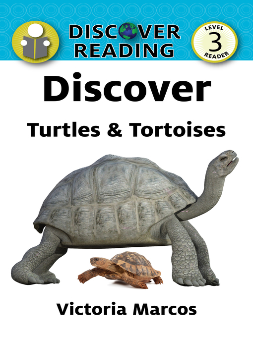 Cover of Discover Turtles & Tortoises